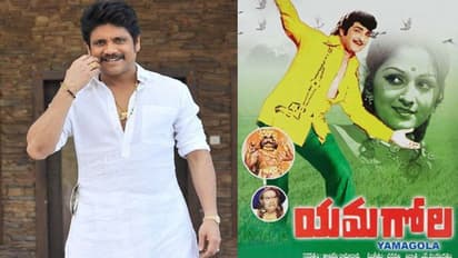 గెట్ రెడీ: ఇది నాగ్ ‘యమగోల’...‘రంభ’ తో రచ్చ