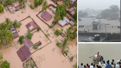 MP में जलसैलाब: 10 तस्वीरों में देखिए बारिश का भयावह मंजर..गांव डूबे तो पेड़ पर चढ़ने लगे लोग