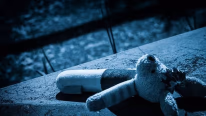 ഐഎസ്സിൽ ചേർന്ന അച്ഛനും അമ്മയും കൊല്ലപ്പെട്ടു, അനാഥയായ പെൺകുട്ടി ഒടുവിൽ സിറിയയിൽ നിന്നും യുഎസ്സിലേക്ക്...