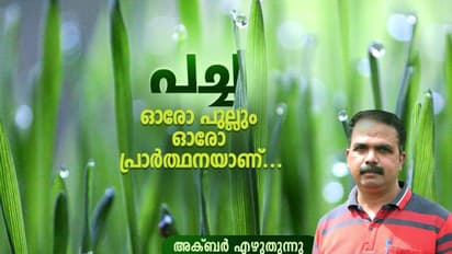 രാജമലയിലെ വെയിലും കാറ്റും