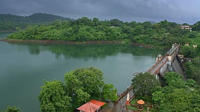 മരണക്കെണിയായി പീച്ചി ഡാം റിസര്വോയര്; ഏറ്റവുമൊടുവിൽ ജീവൻ നഷ്ടമായത് മഹാരാജാസ് കോളേജ് വിദ്യാർത്ഥിക്ക്