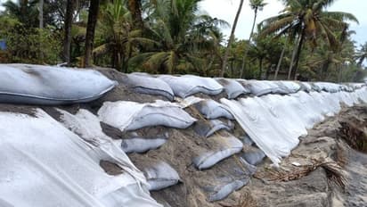 ആലപ്പുഴയിൽ കടലേറ്റ പ്രതിരോധത്തിനായി സ്ഥാപിച്ച ജിയോബാഗ് സമൂഹ വിരുദ്ധർ നശിപ്പിച്ചു