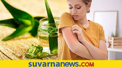  ಹಾಸಿಗೆಗೆ ಹೋಗ್ತಿದ್ದಂತೆ ಮೈ ತುರಿಸುತ್ತಾ? ಟೆನ್ಷನ್ ಬೇಡ ಮನೆ ಮದ್ದಿದೆ