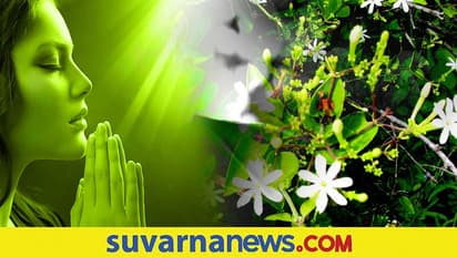 Offering flowers to god: ಯಾವ ದೇವರಿಗೆ ಯಾವ ಹೂವಿಟ್ಟರೆ ಶ್ರೇಷ್ಠ?