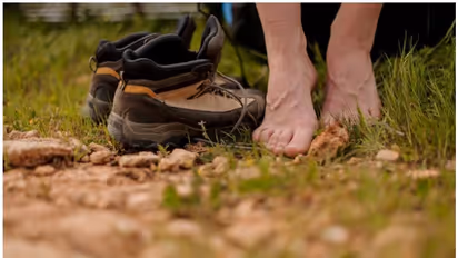 റോബിൻഹുഡ് വിലസിയ കാട്ടിൽ ഇന്ന് നഗ്നസഞ്ചാരികളുടെ ശല്യമെന്ന് പരാതി