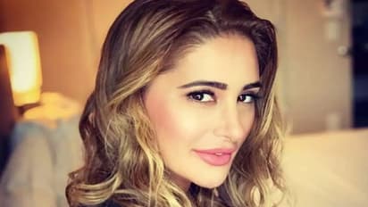 ನರ್ಗಿಸ್ ಫಕ್ರಿ ರಣಬೀರ್ ಕಪೂರ್ ಜೊತೆ ಡೇಟಿಂಗ್ ಮಾಡಿದ್ದಾರಾ?