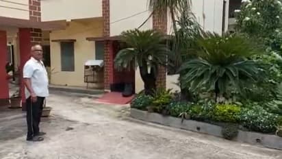 রাতে মুখে ঢাকা দিয়ে গাছ চুরি, সিসিটিভিতে ধরা পড়ল চোরের কীর্তি