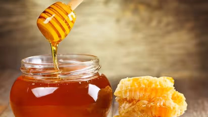 Babycare: ಮಕ್ಕಳಿಗೆ ಯಾವ ವಯಸ್ಸಿನಲ್ಲಿ ಜೇನು ನೀಡಬಹುದು?