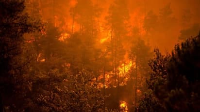 ഗ്രീസിന് ഭീഷണിയായി കാട്ടുതീ: താപനില 45 ഡിഗ്രീ വരെ ഉയർന്നു, അന്താരാഷ്ട്രസഹായം തേടി ഗ്രീക്ക് പ്രധാനമന്ത്രി