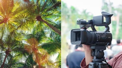 രക്തസമ്മര്ദ്ദം വില്ലനായി; ടെലിഫിലിം ചിത്രീകരണത്തിനിടെ തെങ്ങില്ക്കുടുങ്ങി ക്യാമറാമാന്