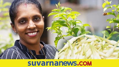 ಮಲ್ಲಿಗೆ ಬೆಳೆದು ಮುಗುಳ್ನಗೆ ಬೀರಿದ ವಕೀಲೆ : ಲಾಕ್ಡೌನ್ ನಲ್ಲಿ ಬಂಪರ್ ಆದಾಯ