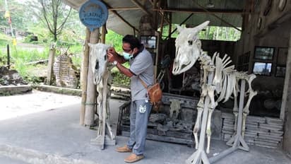 खतरनाक ज्वालामुखियों के देश इंडोनेशिया की चौंकाने वाली तस्वीर, जीवन को यूं कंकाल में बदल देता है खौलता लावा