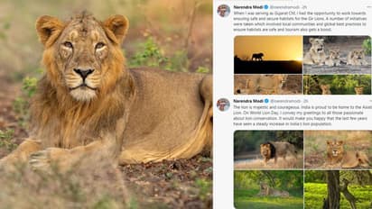 World Lion Day: ಟ್ವೀಟ್ ಮಾಡಿ ಹಳೇ ದಿನಗಳನ್ನು ನೆನಪಿಸಿಕೊಂಡ ಪಿಎಂ ಮೋದಿ!