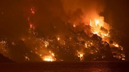 കാട്ടുതീയും കൊവിഡ് മരണങ്ങളും തമ്മിലെന്ത്?; ഞെട്ടിപ്പിക്കുന്ന റിപ്പോര്ട്ട് പുറത്ത്