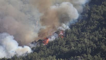 കൂട്ടുകാരുടെ മുന്നില് ആളാവാന് പടക്കം കൊണ്ട് ടെക്നിക്, കത്തിനശിച്ചത് 28 ഏക്കര്, 16കാരന് പിടിയിൽ