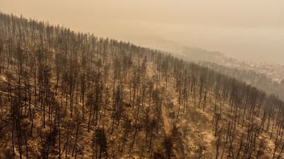 అడవిలో తప్పిపోయిన మూడేళ్ల బాలుడు.. 3 రోజుల తర్వాత మురికినీరు తాగుతూ..