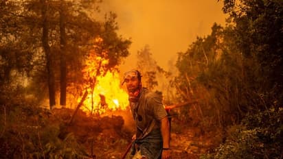 చిలీలో భారీ అగ్నిప్రమాదం.. ఇద్దరు మృతి, 400 ఇల్లు ధ్వంసం.. 