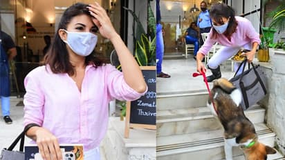 कभी बैग सूंघा-कभी रस्सी छुड़ाकर भागा..प्यारी तस्वीर में कैसे अपने पेट डॉग से परेशान हुईं Jacqueline Fernandez