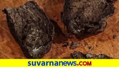 ಬೆಂಗ್ಳೂರಲ್ಲಿ 80 ಕೋಟಿ ಮೌಲ್ಯದ ತಿಮಿಂಗಿಲದ ವಾಂತಿ ಪತ್ತೆ..!