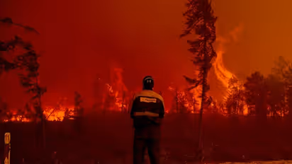 Siberia forest fire