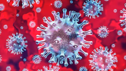 ಕೋವಿಡ್‌ ಹೆಚ್ಚಿರುವ 7 ಜಿಲ್ಲೆಗಳಲ್ಲಿ ಸಂಪರ್ಕಿತರ ಪತ್ತೆ ತೀವ್ರಕ್ಕೆ ಆದೇಶ