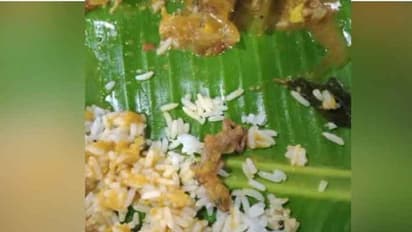 சென்னையில் பிரபல ஹோட்டல் சாம்பாரில் பல்லி.. வாடிக்கையாளர்கள் அதிர்ச்சி..!