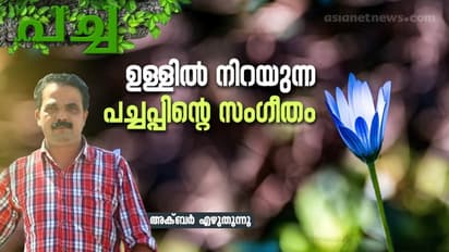 മഴയും വെയിലുമില്ലാത്ത ഒരിടം