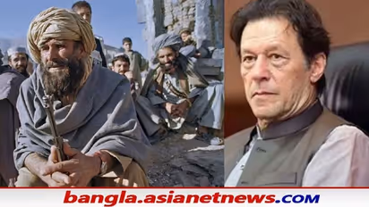 ইমরানের আফগানিস্তান নিয়ে মন্তব্য, প্রাক্তন ক্রিকেট ক্যাপ্টেন কি এবার তালিবানদের মুখপাত্র
