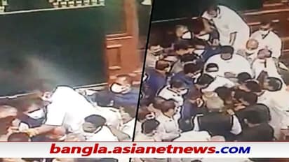 Viral Video - সাংসদ এবং মার্শালদের কুস্তি, কী ঘটেছিল রাজ্যসভায়, দেখুন সিসিটিভি ফুটেজ