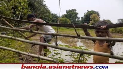 আত্মসমর্পণ করেও মেলেনি 'সরকারি চাকরি', পেটের জ্বালায় কোদাল ধরেছেন মাওবাদী লিঙ্কম্যান