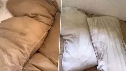 Watch: When wife cleans husband's favourite pillows; she got shocked to see this