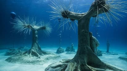 സമുദ്രത്തിന്‍റെ സ്വാഭാവിക പരിസ്ഥിതി വീണ്ടെടുക്കാന്‍ സമുദ്രാന്തര്‍ഭാഗത്ത് ഒരു 'വന മ്യൂസിയം'