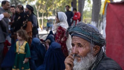 একমাত্র নরেন্দ্র মোদীই পারেন আফগানিস্তানকে বাঁচাতে, দৃঢ় বিশ্বাস কলকাতার কাবুলিওয়ালাদের