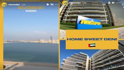 UAE पहुंची  MS Dhoni की टीम: क्रिकेट छोड़ ये गेम खेलते नजर आएं कैप्टन कूल, बीवी बच्चों संग पहुंचे रैना