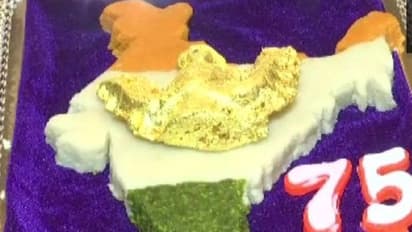 इस स्पेशल डिश को देखकर हैरान हो रहे लोग, पहले करते सैल्यूट फिर खरीदते..जानिए 'तिरंगी फूड' की खासियत