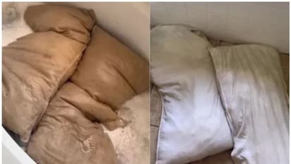 அட இனி உங்கள் தலையணையை இப்படி  சுத்தம் செய்து பாருங்க! புதுசு போல் பளிச் பளிச்சு தான்...!!