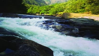 മണ്ണാർക്കാട് വെള്ളച്ചാട്ടത്തിൽ കുളിക്കാനിറങ്ങിയ യുവാവിനെ കാണാതായി