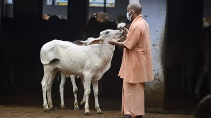 Asianet News Mood of the Voters survey: Will Yogi Adityanath win a second term?