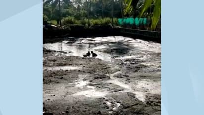 മത്സ്യക്കുളത്തിനായി കുഴിയെടുത്തപ്പോൾ മനുഷ്യ തലയോട്ടിയും അസ്ഥികളും കണ്ടെത്തി