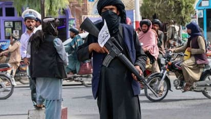 Taliban spokesman says China plays positive role in fostering peace, reconciliation in Afghanistan