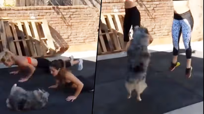 Dog working out with two girls; adorable video goes viral