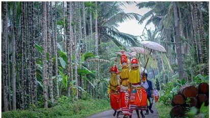 മലബാറുകാരുടെ മാവേലിത്തമ്പുരാന്‍; ഓണത്തിനെത്തുന്ന ഓണപ്പൊട്ടൻ