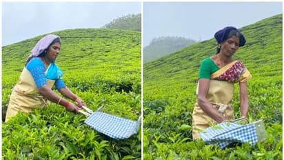 കേന്ദ്ര തൊഴില് വകുപ്പിന്റെ 'ശ്രാം പുരസ്കാരം' മൂന്നാര് കണ്ണന് ദേവന് കമ്പനിയിലെ സ്ത്രീതൊഴിലാളികള്ക്ക്