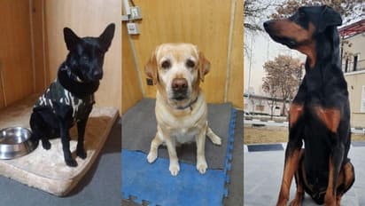 മായയും റൂബിയും ബോബിയും അഫ്ഗാനിസ്ഥാനില് നിന്നും തിരിച്ചെത്തി; ആശ്വാസത്തില് ഐടിബിപി