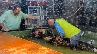 Alligator bites zoo handler's hand, visitor comes to her rescue; watch horrifying video