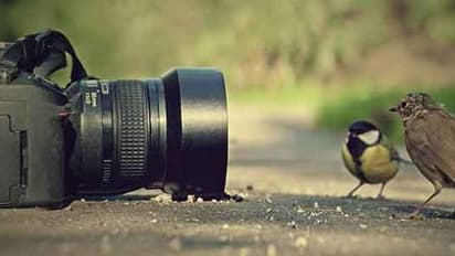 వరల్డ్ ఫోటోగ్రఫీడే : ఈ 5 స్మార్ట్‌ఫోన్లు మొబైల్ ఫోటోగ్రఫీ లవర్స్ కోసం తయారుచేశారు..  అవేంటో తెలుసా..?