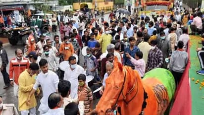 इस घोड़े के कारण विवादों में घिरी सिंधिया की जन आशीर्वाद यात्रा, नाराज हो गई मेनका गांधी की संस्था