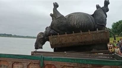 জলদাপাড়ার জঙ্গলে মিলল গন্ডারের দেহ, অক্ষত খড়গ, তদন্ত শুরু বন দফতরের