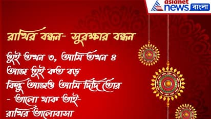 রাখির দিনে ভাইদের জন্য বোনেদের বার্তা, এমন সেরা ১০টি বার্তা যা সকলের মন ছুঁয়ে যাবে