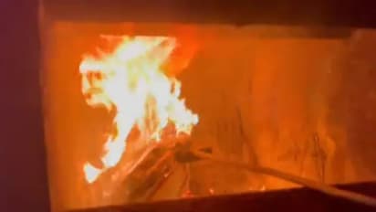 मौत से बचाने के लिए लड़कियों के स्कूल रिकॉर्ड जलाए जा रहे, ऐसी है तालिबान के खौफ की डराने वाली कहानी